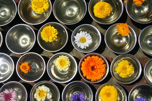 one bowl, one flower, many prayers