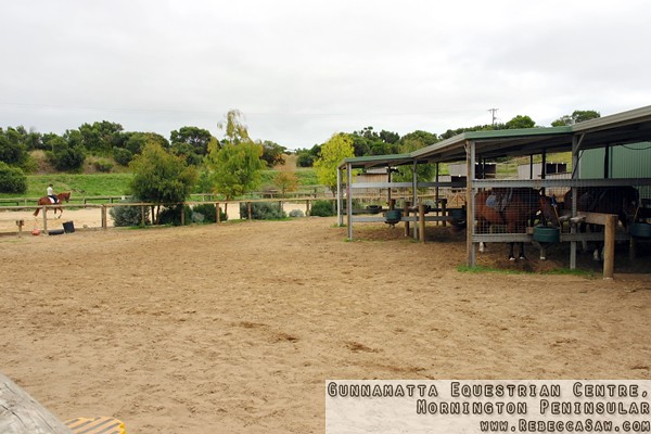 Gunnamatta Equestrian Centre, Mornington Peninsular-8
