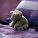 Teddy bear resting alone - bokeh panorama