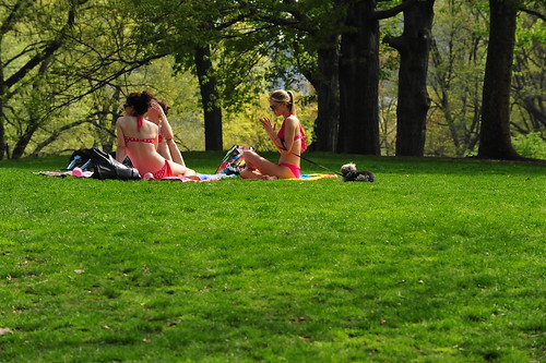 new york central park spring. CENTRAL PARK IN SPRING 2011