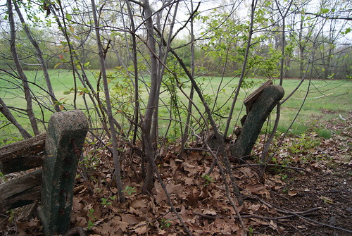 Broken and overgrown bench