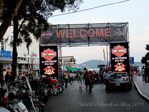 Enter the Harley Davidson realm