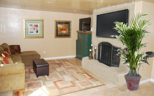 flatscreen tv on  fireplace with plant