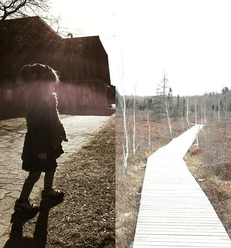 the tuesday diptych project