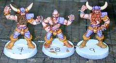 Blood Bowl Norse by The Gonk