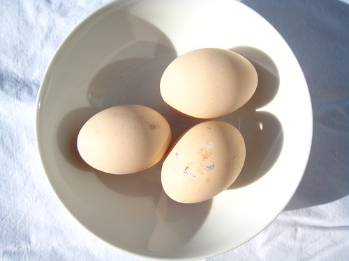 Zoran's eggs IMG_4605