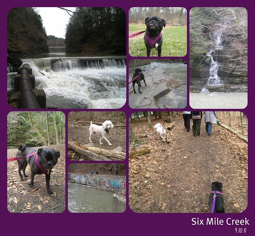 six mile creek