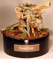 exocrine_01-1