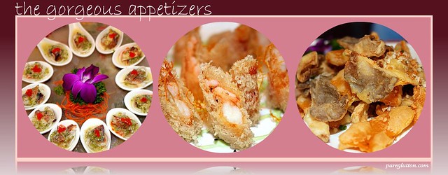 appetizers collage