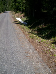 A little patch of snow at ~3900
feet