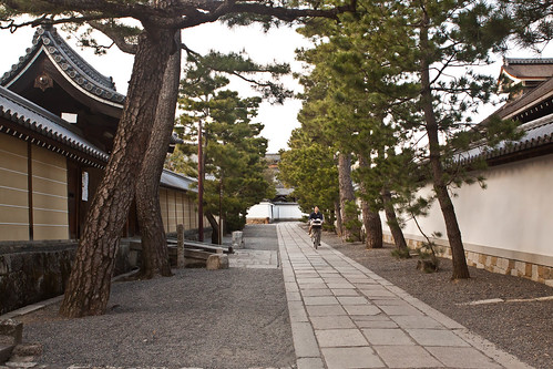 Shunkoin Temple Guest House in Northwest Kyoto | Legs, Engage!