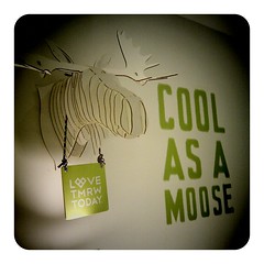 cool as a moose @ CityInn Plus