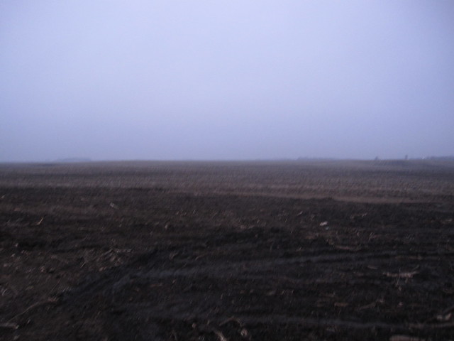 Early Foggy Morning 