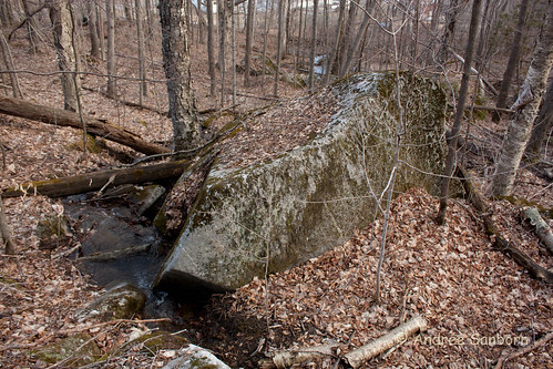 The Brook Out Back (80 of 100).jpg
