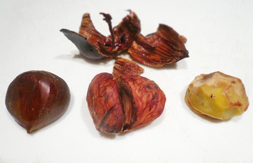 whole, shelled and trimmed chestnut