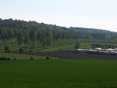 Across the Authie Valley near Bas-Tollent