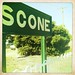 Welcome to Scone!