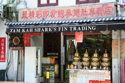 shark finning facts. Shark#39;s Fin Trading