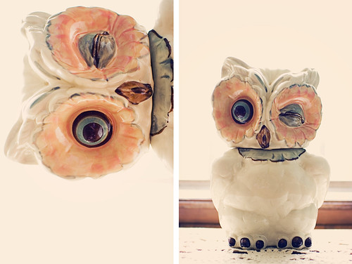diptych: the owl cookie jar