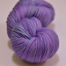 Lavender Purple