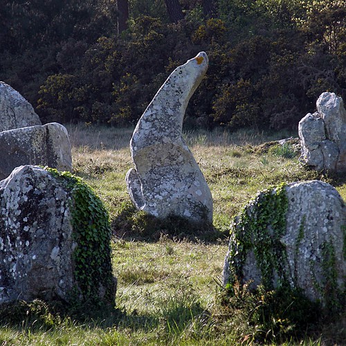 alignements de Kermario / Kermario stones ©  OliBac