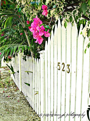 Key West Garden Gate by DiPics
