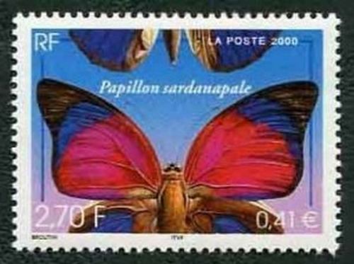 Papillon Sardanapale