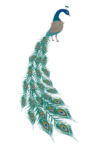 Peacock by cineloh