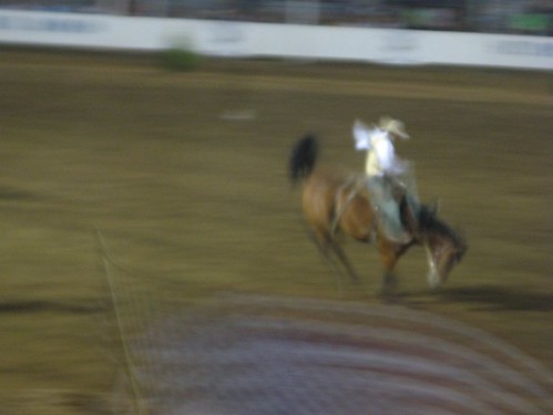 4th of July Rodeo