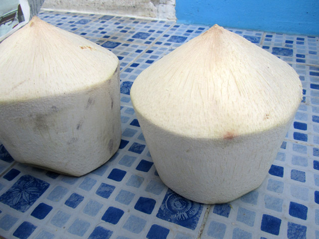 Pair of Coconuts