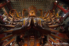 The Buddha of a Thousand Arms