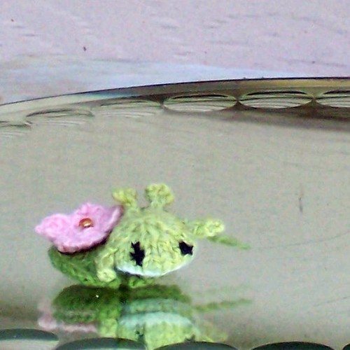 Tiny frog, big pond
