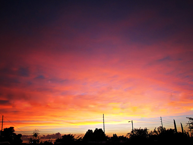 August 19, 2010: backyard sunset