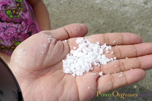 Mina de Oro Natural Sea Salt