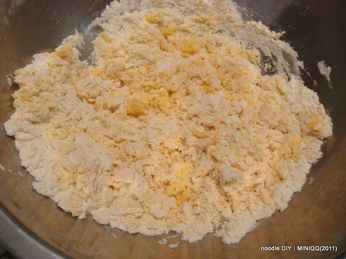 20110701  noodle DIY _01