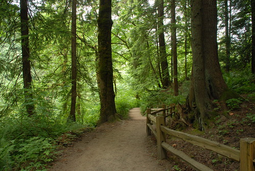 Forest Park, Portland OR