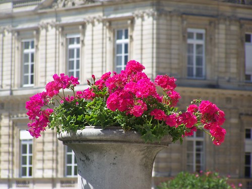 Jardin de Luxembourg