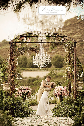 Every wedding arch deserves a little decor 