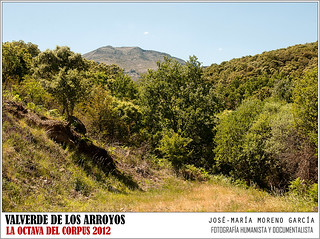 VALVERDE DE LOS ARROYOS = OCTAVA DEL CORPUS 2012