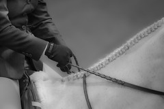 improve your riding, Thistle Ridge Skill Builders, Laura Kelland-May, horse riding, horse training Ottawa, Horse training Ontario, horse training, equestrian, dressage, Equitation tips