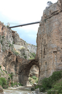 Oued Rymel and Sidi Msid Bridge