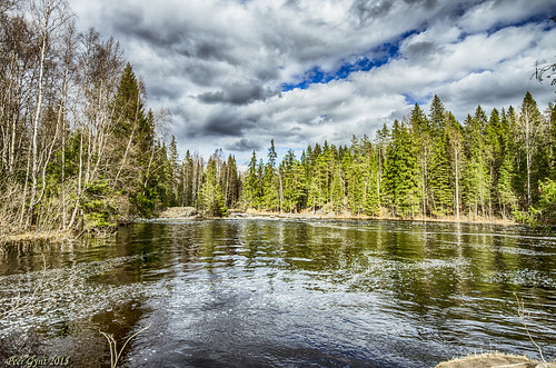 Tokhmayoki River. Sortavala District, Karelia ©  Andrey Korchagin