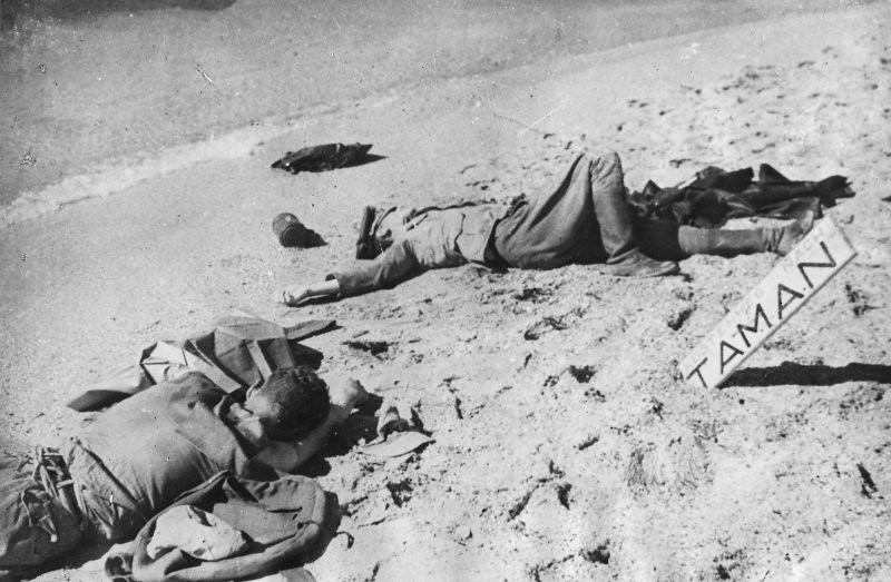 фото: Убитые немецкие военнослужащие на месте боев