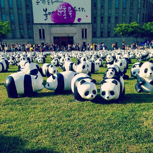   ... #Seoul #City #Hall #Plaza #Panda To 1600+ Pandas ©  Jude Lee