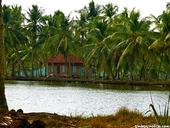 Backwaters • <a style="font-size:0.8em;" href="http://www.flickr.com/photos/92957341@N07/8749434421/" target="_blank">View on Flickr</a>