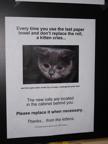 Every time you use the last paper towel and don't replace the roll, a kitten cries (and then gets eaten slowly by a hungry, endangered polar bear. The new rolls are located in the cabinet behind you. Please replace it when necessary. Thanks...from the kittens. (The polar bears? Not so much. Still hungry.)