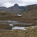 Parque Nacional Cajas (2)