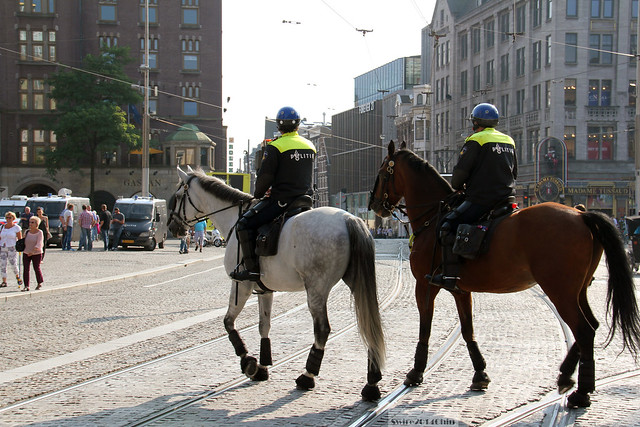 Amsterdam Politie mounted unit