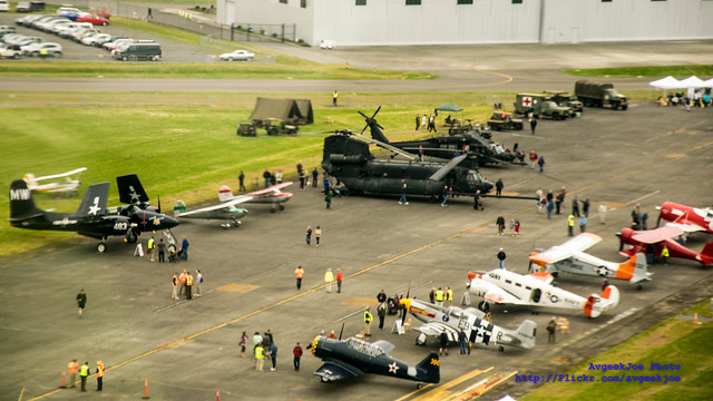 An Aerial of the HFF Side of Paine Field Aviation Day