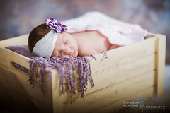 Baby Charlotte Newborn Photoshoot-080.jpg